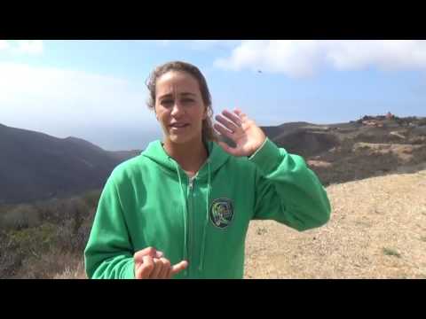 Best Fat Burning Snack Before Bed!