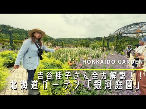 木々のある広い庭園: ヒントとコツ、計画のアドバイスとアイデア  庭園