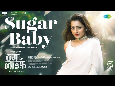 Sugar Baby Lyrics – Thug Life (Hindi)