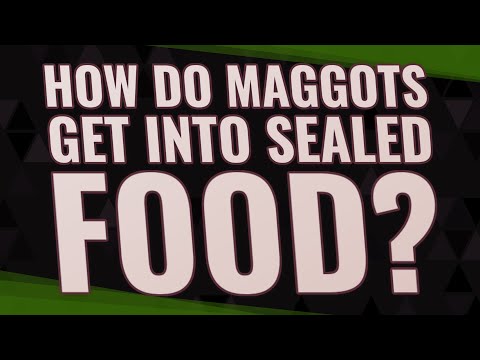 YouTube video about: How do maggots get into a closed refrigerator?