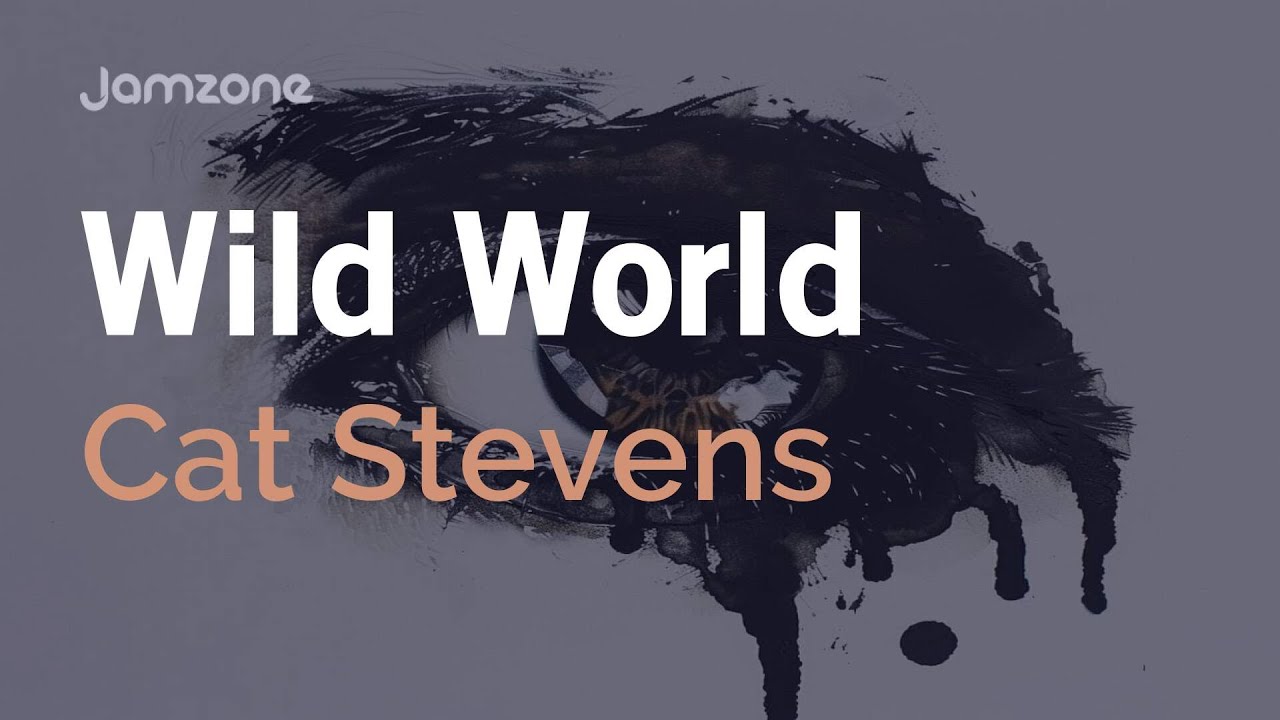 Folk Backing Track in C | 76 BPM | Wild World - Cat Stevens