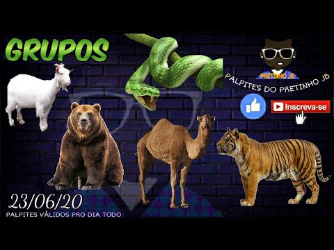 PALPITES JOGO DO BICHO 23/06/2020 PRETINHO JB