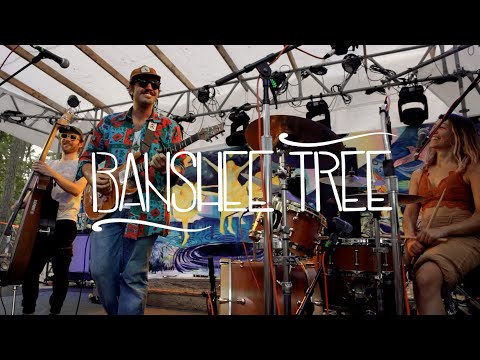 Play Video Youtube Video