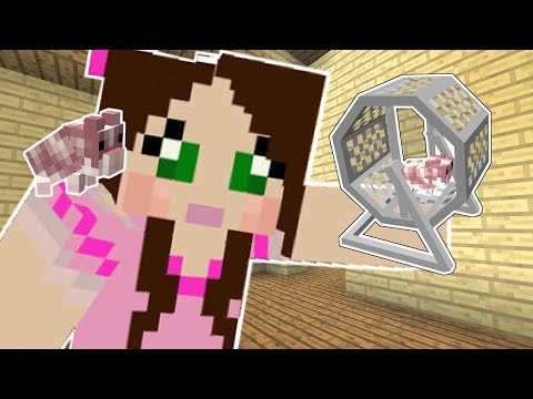 Minecraft: LITTLE PETS!! (HAMSTERS, HEDGEHOGS, & FERRETS!) Mod Showcase
