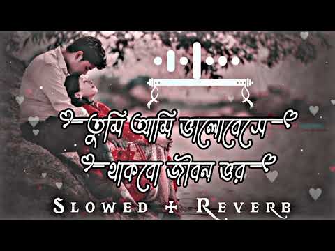 তুমি আমি ভালোবেসে থাকবো জীবন ভর || 🎧SLOWED PLUS REVERD🎧 || Remix LO-FI🥀🥀 || Bangla Song ||