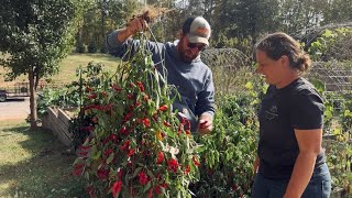 Before the Frost || A Day of Hard Work & Good Harvests || October 2025