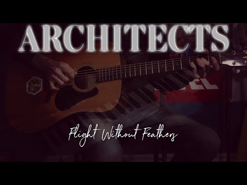 Flight Without Feathers (Acoustic Architects Cover)