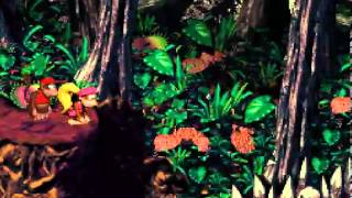 preview picture of video 'Lets Play Donkey Kong Country 2 Teil 3 von IzumLP'