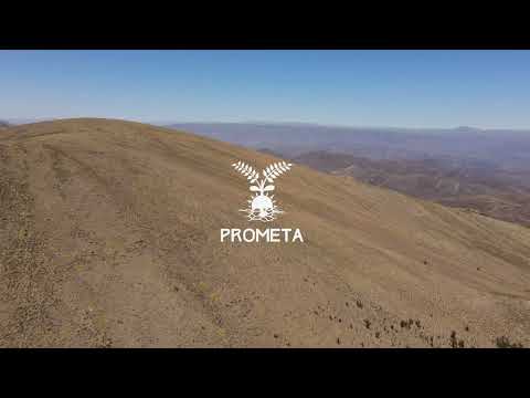 Conservación y Restauración de Bosques Nativos Andinos  y Biodiversidad en Tupiza y Cotagaita