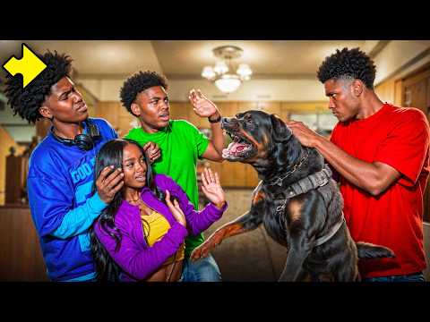 Our NEIGHBOR TRAINED His DOG To Attack US!