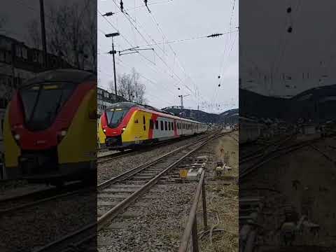 [RE34] Siegen Hbf ➡️ Iserlohn-Letmathe & [RB91] Hagen Hbf ➡️ Siegen Hbf "Lennestadt-Altenhundem"