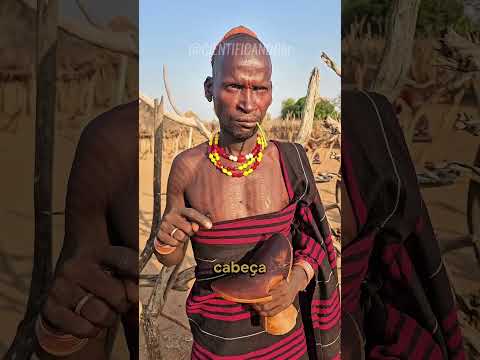 Why do they sleep in the wood!? 🤔 #funfacts #unknownfacts #curiosities #didyouknow #facts