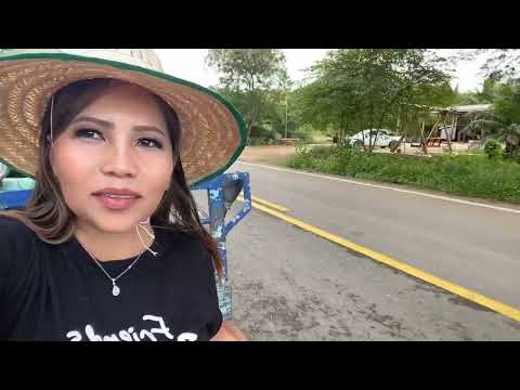 Mus Thaib Teb Vib Nais 8/28/22