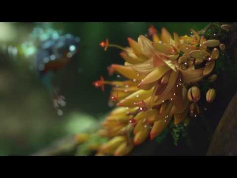 Samsung/PAVV LED LCD TV