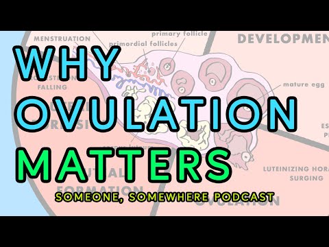 EP 25: Why Ovulation Matters