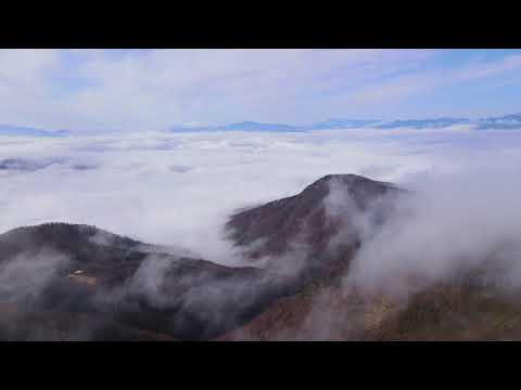 雲海と北アルプス