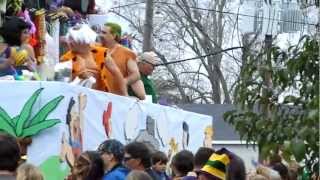 preview picture of video 'Mardi Gras Lockport Style!'