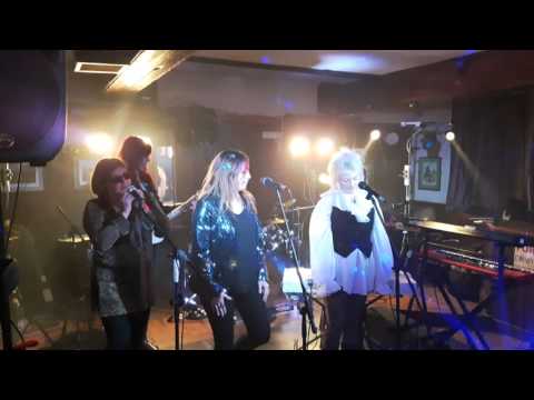 Badly Stuffed Animals