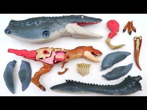 Dinosaur Anatomy Set! Jurassic World T-Rex, Mosasaurus. Find Tail And Dino Skeleton