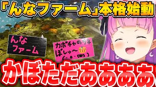 【#holoRUST】2日目にしてカボチャの栽培に成功し、元農園経営者としての片鱗を見せるルーナ姫~カボチャ栽培ダイジェスト~【姫森ルーナ/ホロライブ切り抜き】
