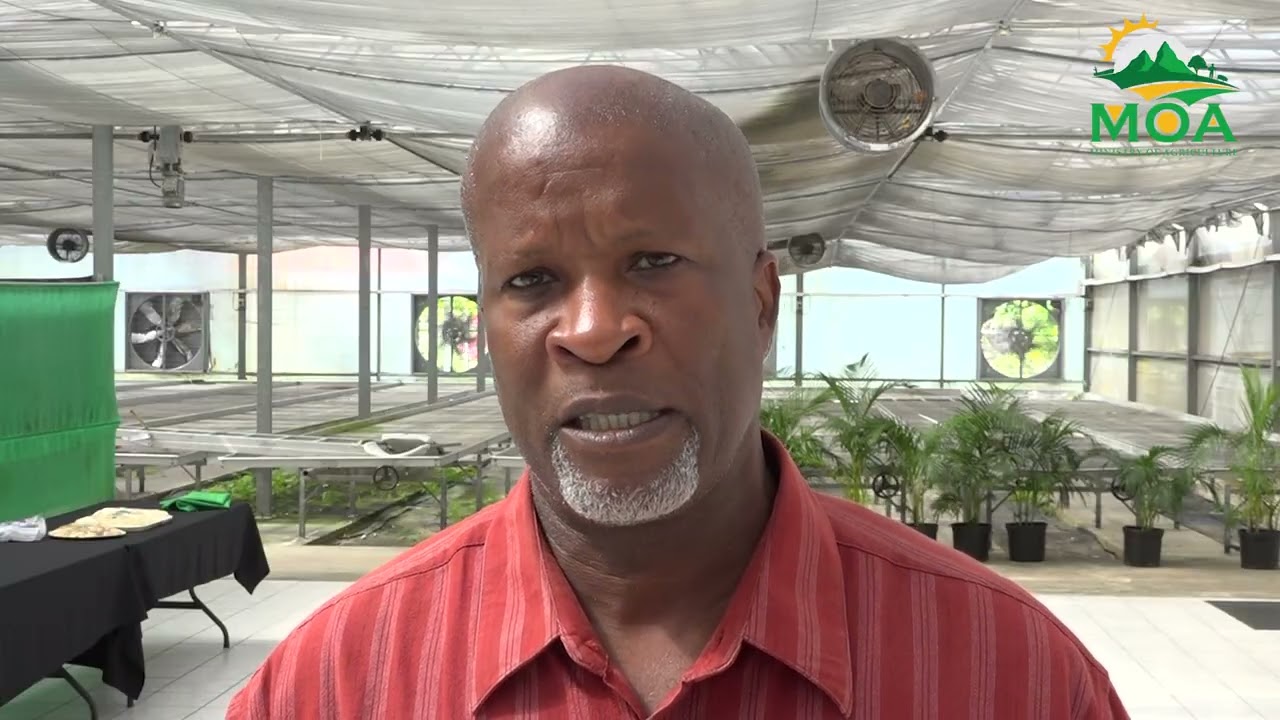 Agriculture Ministry And (CDB) Align BRACCVAS Project Direction Through Reviewed Strategies