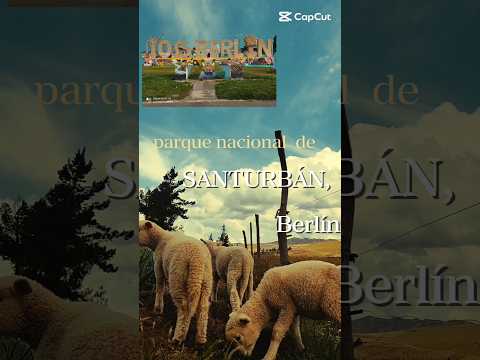 Berlín, santurbán, Santander #santurbanexplotuors #paramos #bucaramanga #colombia🇨🇴 #viral