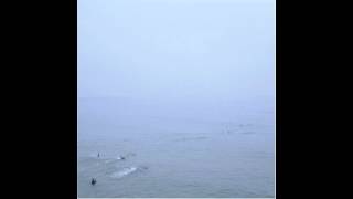 Growing - The Sky's Run Into the Sea (Full Album, ripped from CD)