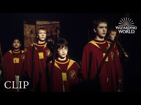 Harry Catches the Snitch