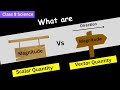 What Is Scalar And Vector Quantity Science Class 9 Physics