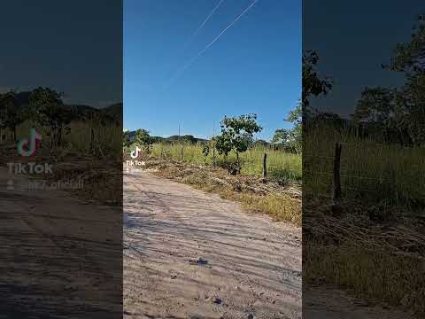 Em algum lugar,em Monte Alegre de Goiás