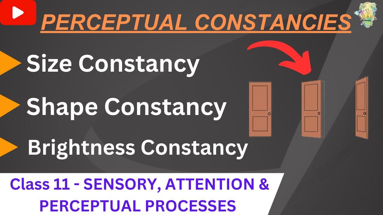 Perceptual constancy - size, shape and brightness constancy | Class11 Psychology | Chapter 5