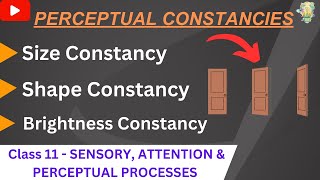 Perceptual constancy - size, shape and brightness constancy | Class11 Psychology | Chapter 5