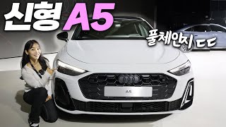차봤서영 아우디 The new A5