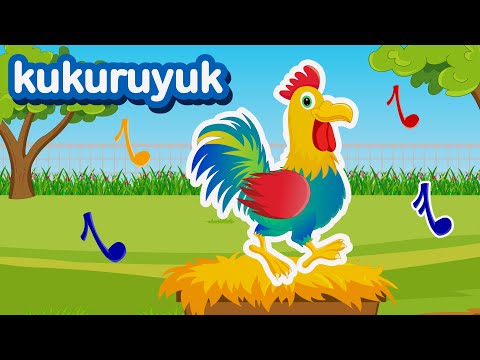 Kuku Kukuruyuk - Lagu Ayam Jantan - Lagu Anak Indonesia Populer