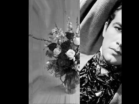 My Tribute to Robert Taylor- Can't Help Lovin' Dat Man