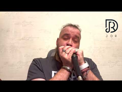 Hey Jude - JDR Ninja - Beatles harmonica cover by Boris Plotnikov