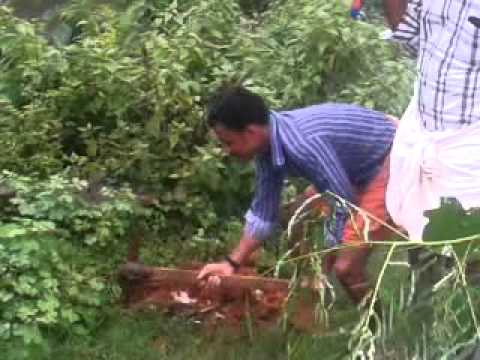 nature lovers nedupuzha