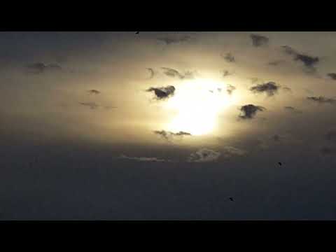 23 oktober 2022 Brukske Venray...