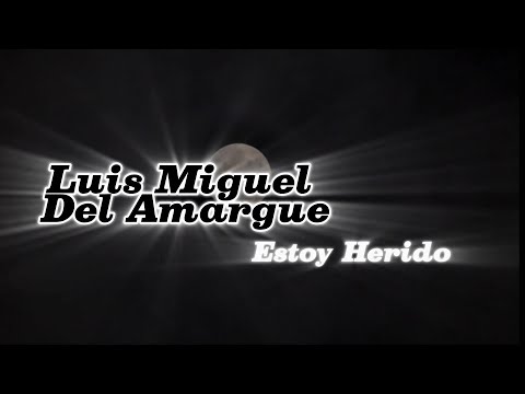 Estoy Herido, Letras - Luis Miguel Del Amargue (Vídeo Lyrics)