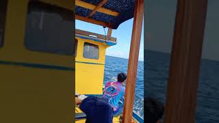 Download lagu mancing laut#mancingmania #asia #viral #fyp #tiktok #shorts #new #storywa #statusshorts #fypp mp3
