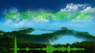 Birdy Nam Nam - Defiant Order (Craze Get Live Remix) (HD)