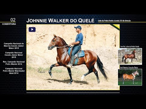 2 Johnnie Walker do Quelé