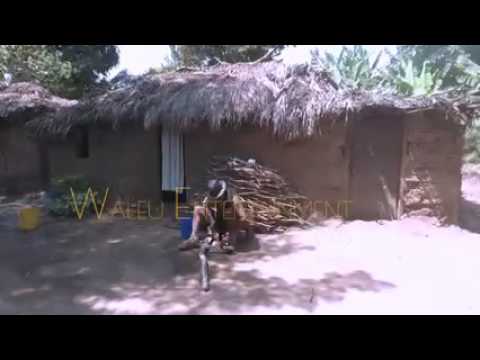 official video nald clever siwezi