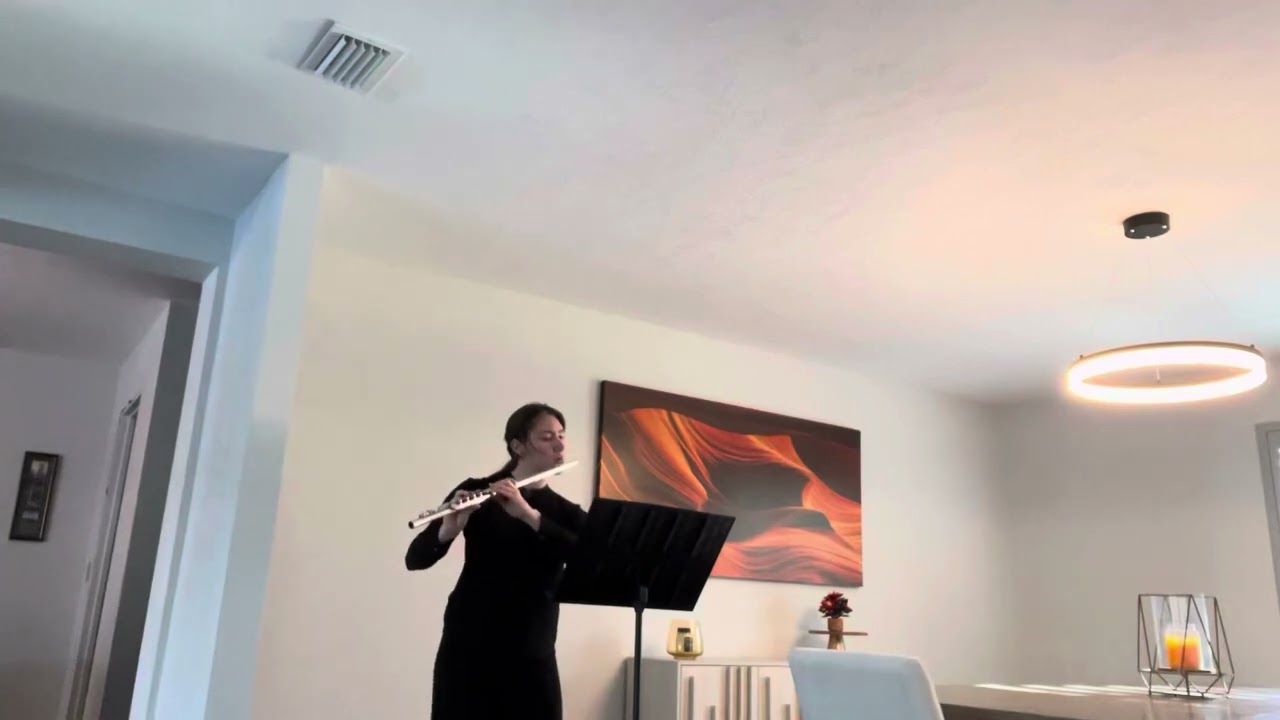 Promotional video thumbnail 2 for Private Flute Lessons and Event Bookings