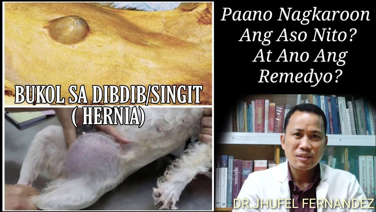 BUKOL SA DIBDIB OR SINGIT||HERNIA|| Ano Ang Masamang Epekto At Ano Ang Remedyo