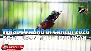 Download lagu MASTERAN KONIN PALING DI MINATI DI TAHUN 2026 FULL SEJALURAN TEMBAKAN VERSUS SUPER MEWAH mp3