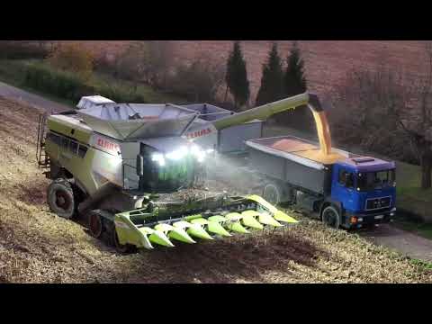 Mais Ernte 2025-Claas Lexion 8700 TT bei Andlauer GBR ( Night View )