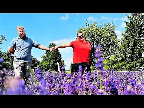 Ačiū, kad šalia esi - KAROLINA Gustaitytė. Kaimo klebono fonoteka - 244. Išlaužas, 2023 08 11