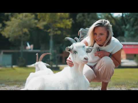Vier de Groningse zomer in het Stadspark
