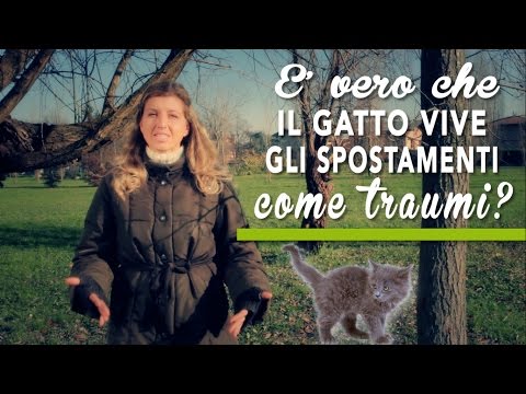 Trattamento di ernia lombare Iniezioni osteocondrosi lombo